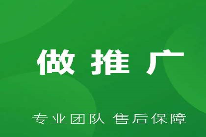 信息流广告推广成功案例深度剖析